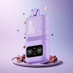 Aivono Aim Magic 20000 Grape Ice Dual Mesh 600mAh